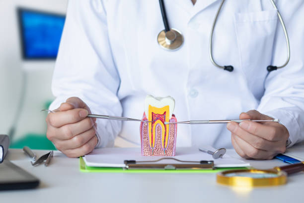 Best Urgent Care for Lost Fillings or Crowns in Montana City, MT